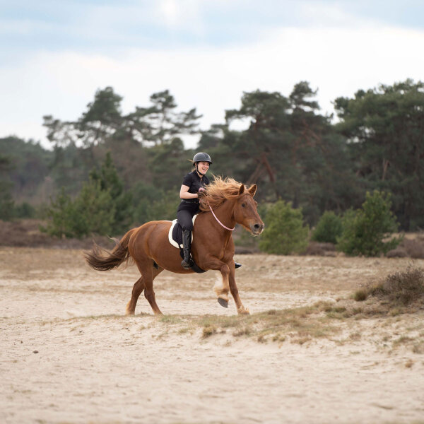Imperial Riding Bareback Pad IRH FREE RIDE black