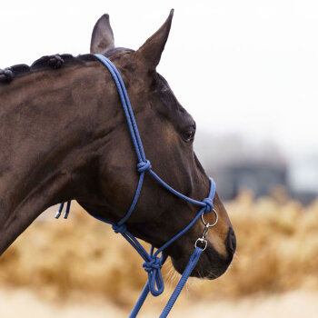 Imperial Riding Knotenhalfter IRH FREE RIDE sapphire