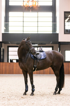 Imperial Riding Gamaschen IRH LOVELY navy