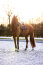 Imperial Riding Gamaschen IRH LOVELY navy