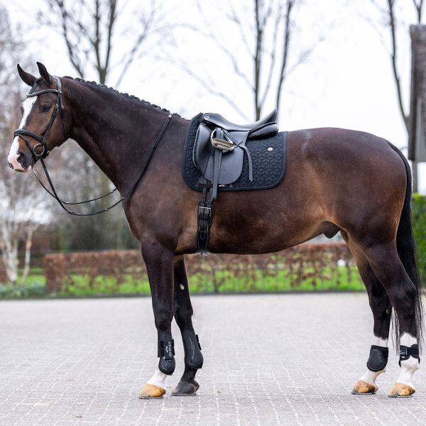 HV Polo Schabracke HVP ESSENTIAL black