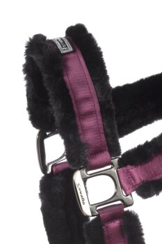 Cavallo Halfter CAVALJUNO dusty violet