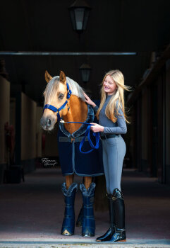 Bucas Transportgamaschen Show-Line, navy/grey COB