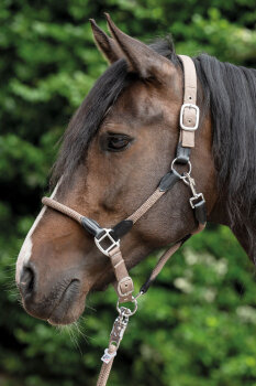HKM Halfter CARLOTTA taupe Pony