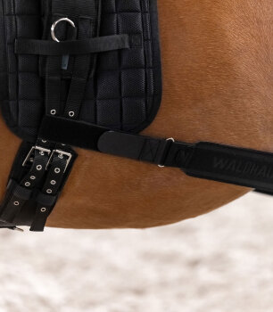 Waldhausen Körperbandage, schwarz VB/WB