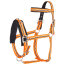 Imperial Riding Kappzaum IRH neon orange