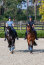 Eskadron Gamaschen PRO DRESSAGE FRONT Classic Sports 25 S/S steel blue