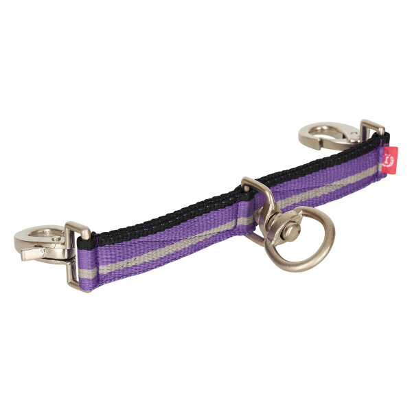 Imperial Riding Longierbrille IRH royal purple