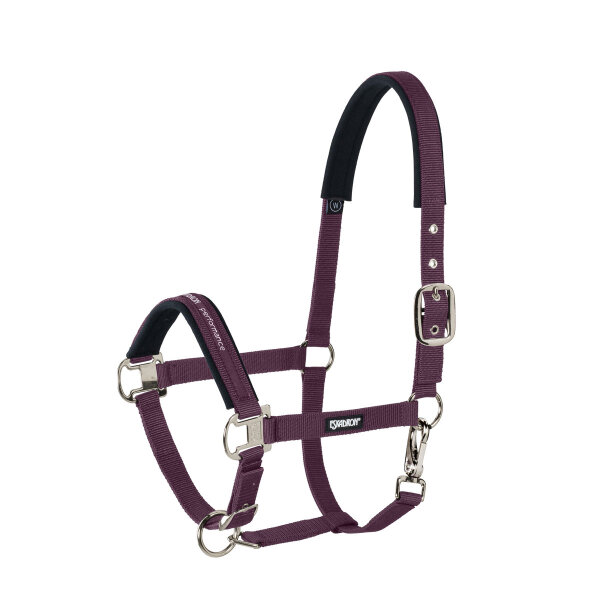 Eskadron Halfter PIN BUCKLE Basics, blackberry