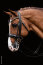 Schockemöhle Sports Kandare SP MONTICELLI black/patent/silver