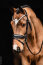 Schockemöhle Sports Trense SP VALENCIA black/silver