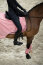 Eskadron Ausreitdecke FLEECE STAMP BIT Platinum25 soft rouge