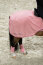 Eskadron Ausreitdecke FLEECE STAMP BIT Platinum25 soft rouge