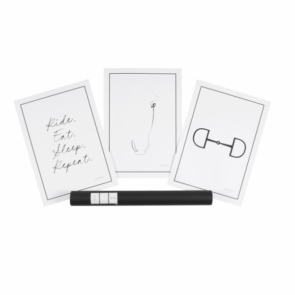 Eskadron Wandbilder SET OF 3 Platinum25 white-black