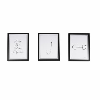 Eskadron Wandbilder SET OF 3 Platinum25 white-black