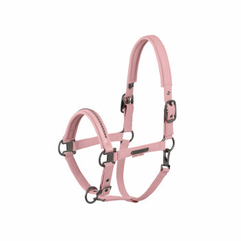 Eskadron Halfter SOFTSHELL PEARLS DOUBLE PIN Platinum25...