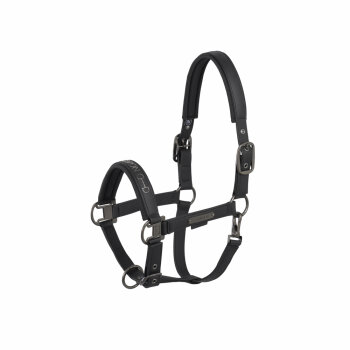 Eskadron Halfter FAUX LEATHER DOUBLE PIN Platinum25 black