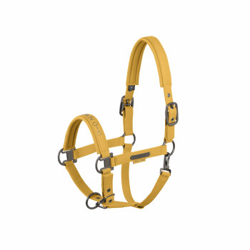 Eskadron Halfter FAUX LEATHER DOUBLE PIN Platinum25 golden yellow