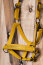 Eskadron Halfter FAUX LEATHER DOUBLE PIN Platinum25 golden yellow
