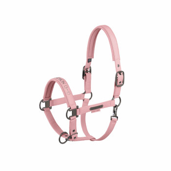 Eskadron Halfter FAUX LEATHER DOUBLE PIN Platinum25 soft...