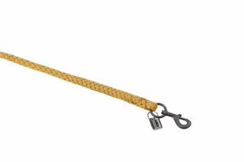 Eskadron Anbindestrick REGULAR SWIVEL HOOK Platinum25 golden yellow