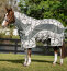 Horseware Fliegendecke AMIGO CAMOFLY 3in1 PLUS, camofly print/grey