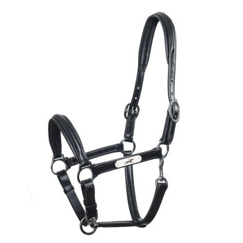 Schockemöhle Sports Lederhalfter ULM PRO black/silver