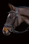 Schockemöhle Sports Trense SP ANCONA SELECT black/silver