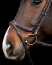 Schockemöhle Sports Trense SP ANCONA SELECT espresso/silver