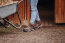 Suedwind Schuhe FIELD FrontZip GripFTX chocolate