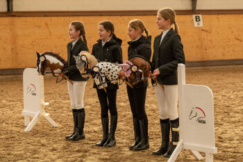 HKM Turnierschleife HOBBY HORSING dunkelblau/rosa