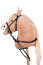 HKM Martingal HOBBY HORSING schwarz