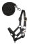 HKM Halfter und Strick Basic HOBBY HORSING schwarz