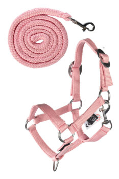 HKM Halfter und Strick Basic HOBBY HORSING rosa
