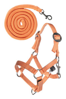 HKM Halfter und Strick Basic HOBBY HORSING orange