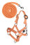 HKM Halfter und Strick Basic HOBBY HORSING orange