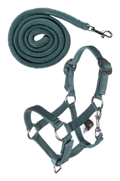 HKM Halfter und Strick Basic HOBBY HORSING türkis