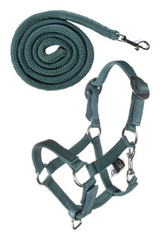 HKM Halfter und Strick Basic HOBBY HORSING türkis