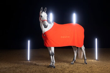 Eskadron Abschwitzdecke FLEECE STAMP Dynamic25 red