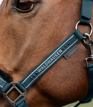 Waldhausen Halfter Elegant, petrolblau