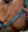 Waldhausen Halfter Elegant, petrolblau