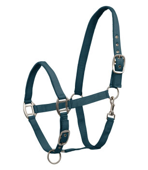 Waldhausen Halfter Satin, petrolblau