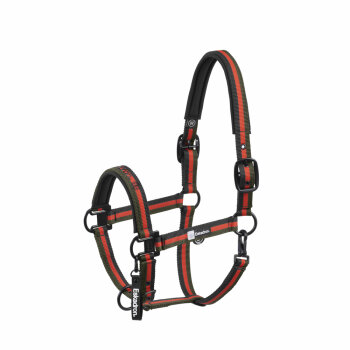 Eskadron Halfter DOUBLE PIN Dynamic25 black