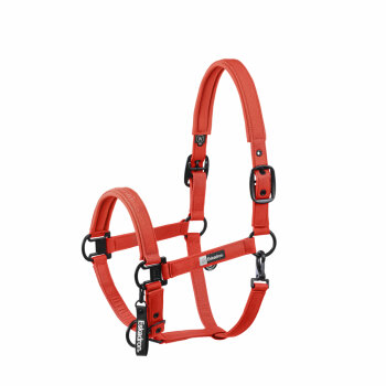 Eskadron Halfter SPARKLE DOUBLE PIN Dynamic25 red