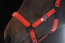 Eskadron Halfter SPARKLE DOUBLE PIN Dynamic25 red