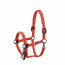 Eskadron Halfter SPARKLE DOUBLE PIN Dynamic25 red