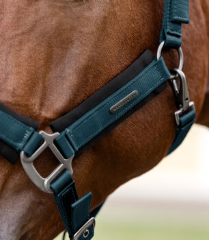Waldhausen Halfter SOFT TOUCH petrolblau