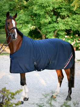 Tommy Hilfiger Fleecedecke STANFORD desert sky