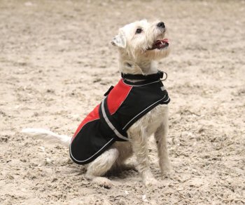 Manski Hundedecke Emma, rot-schwarz