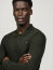 Tommy Hilfiger Herren Longsleeve Poloshirt ERWIN pine